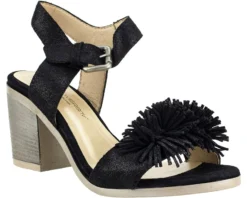 Unity In Diversity Fire