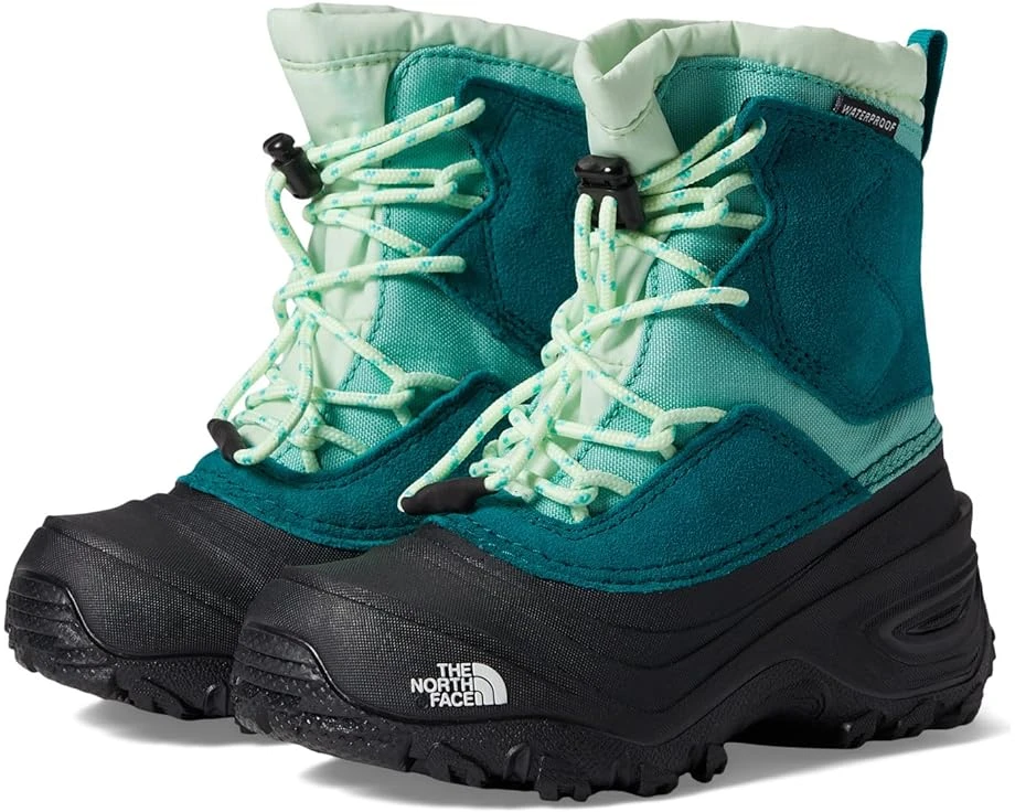 The North Face Kids Alpenglow V Waterproof (Toddler/Little Kid/Big Kid) 1 The North Face Kids Alpenglow V Waterproof (Toddler/Little Kid/Big Kid)